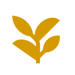 DJC E&E Icon