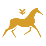 Cross country lessons Albury Wodonga