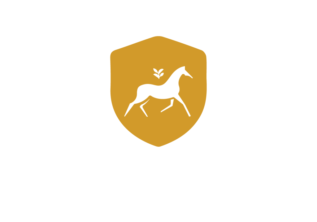 Showjumping lessons Albury Wodonga